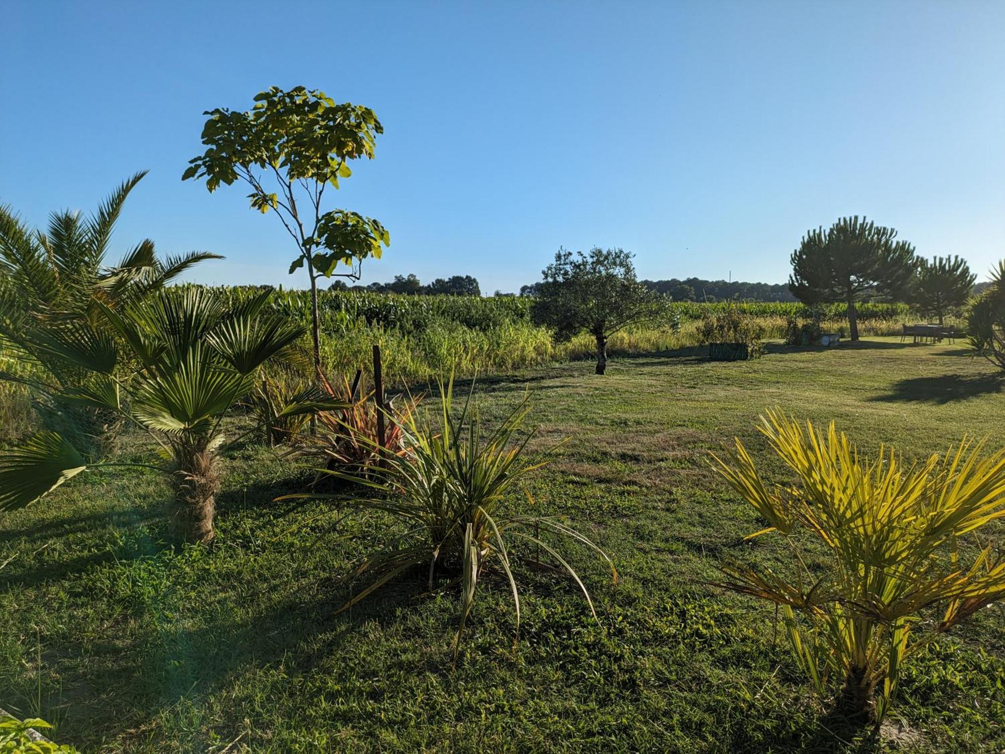 La Grange D'Hardy Villa Soustons Exterior foto