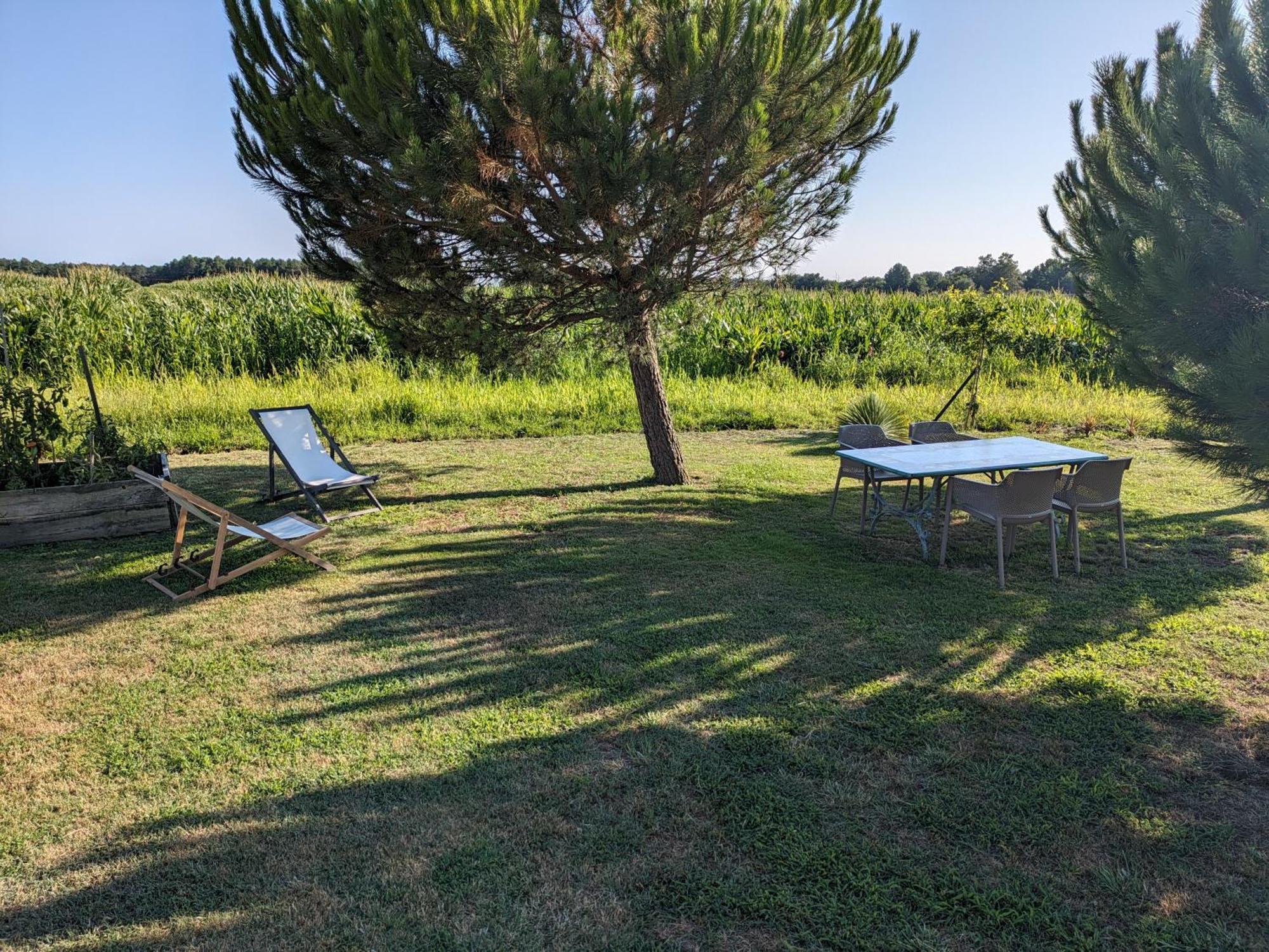 La Grange D'Hardy Villa Soustons Exterior foto